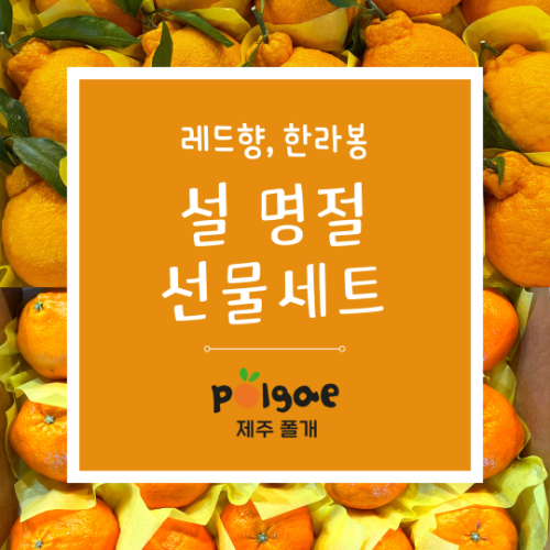 폴개 레드향&amp;한라봉 설 선물세트